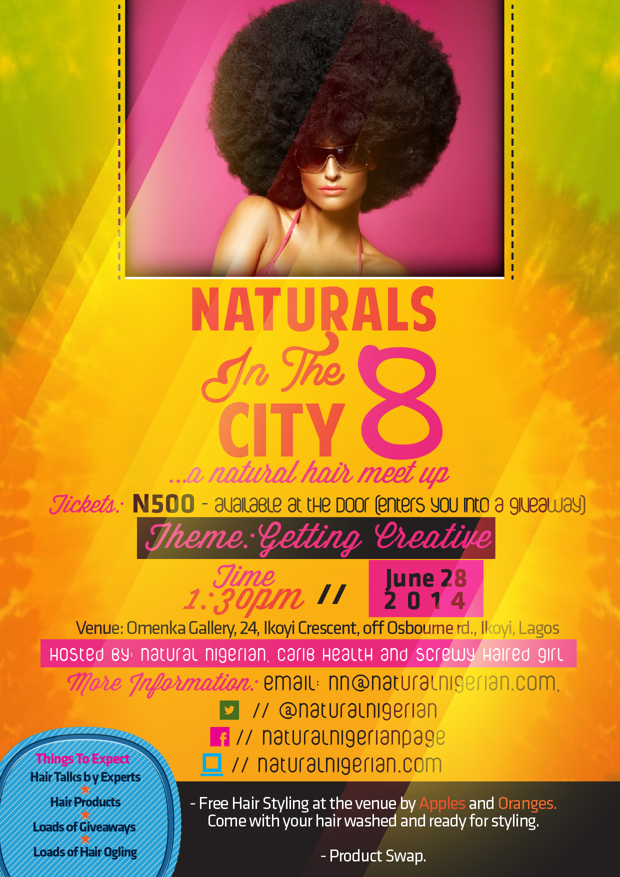 Naturals in the City 8 Lagos Nigeria Hair Meet Up