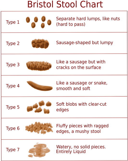 What is your poop telling you?